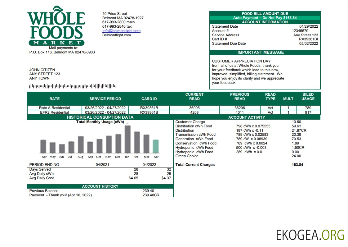 USA Whole Foods Market utility bill template in Word and PDF format